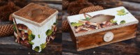 /album/fotogaleria1/nove-10-jpg/